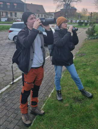 Obserwacja