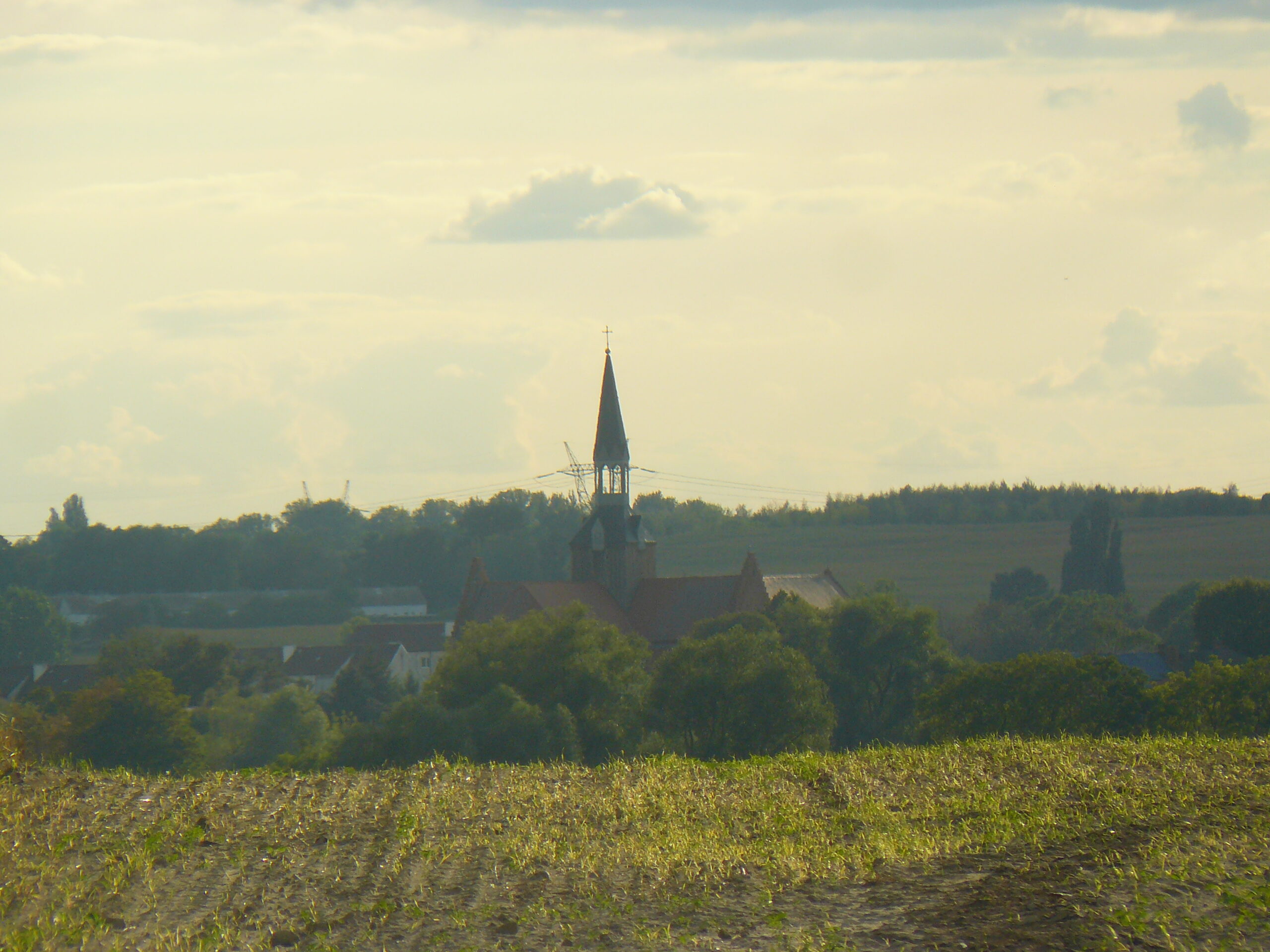 Panorama Kołbacza od strony wschodniej (fot. Wojciech Kociuba)